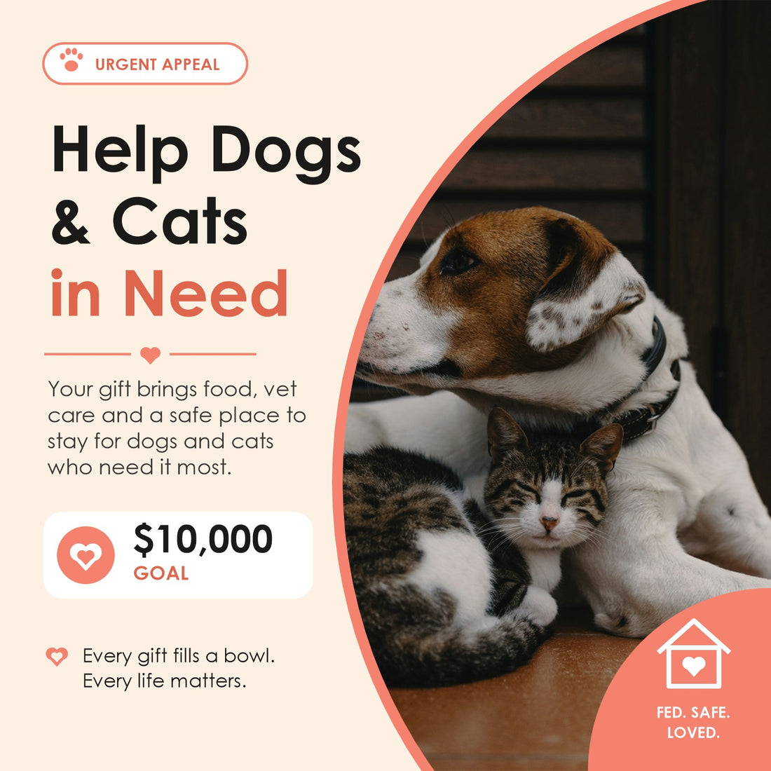Urgent appeal: help dogs and cats in need. $10,000 goal.
