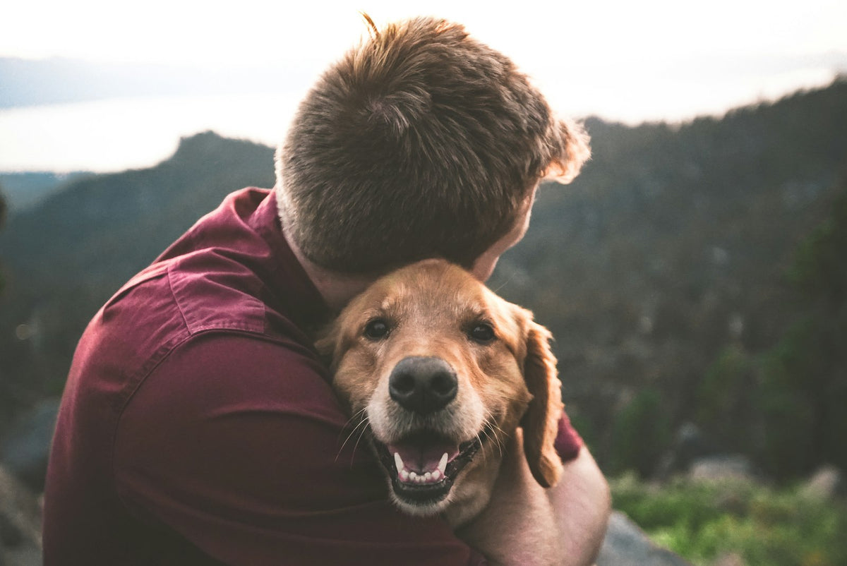 Man hugging his happy dog